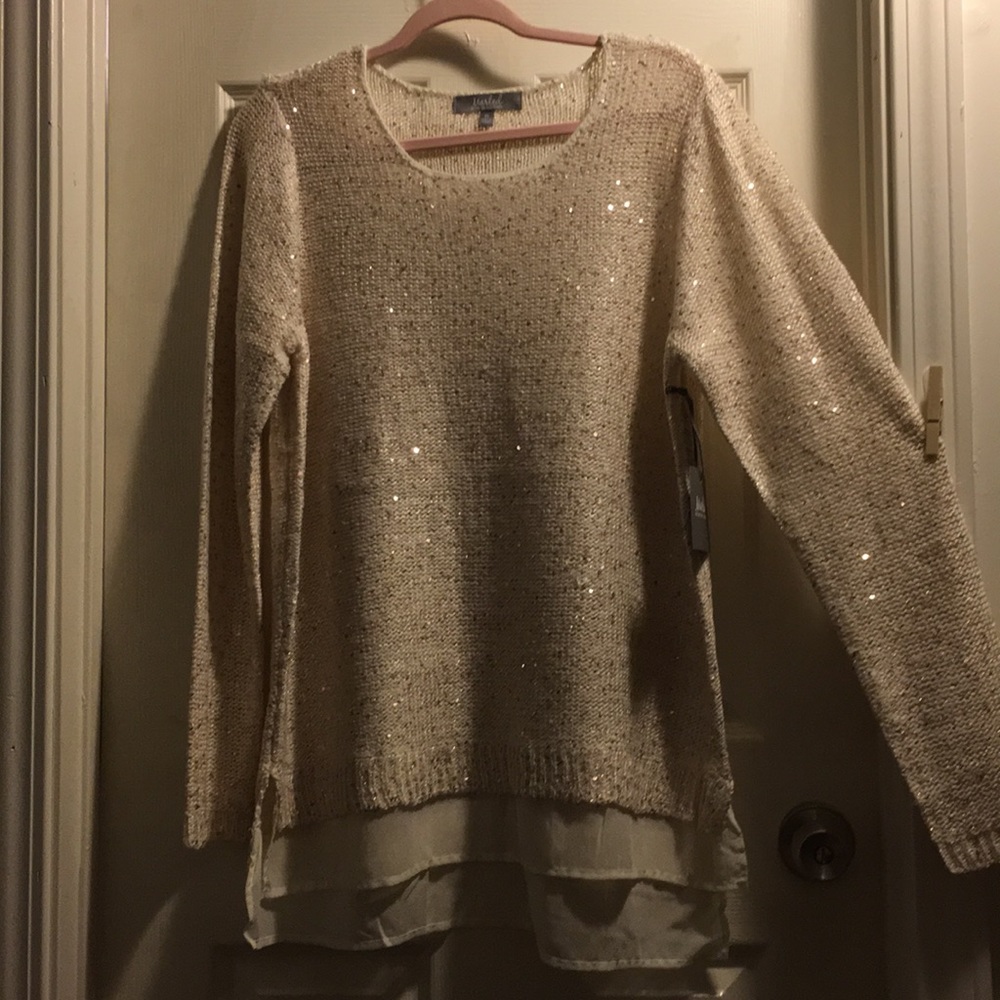 Sparkly sweater